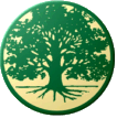 New Approaches Logo - Large Oak tree with roots going down into the ground